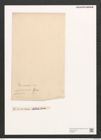 Diatomeae indet. (de-Toni-Nr.: Species 1309 ?) Zeichnungen Sammlung Grunow (NHMW-BOT-W0369777)
